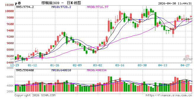棕榈油：4月现货震荡走高