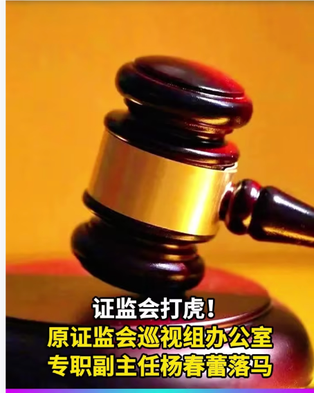 证监会老虎：中国证监会党委巡视工作领导小组办公室原专职副主任杨春蕾受贿一审被判有期徒刑7年！罚金40万