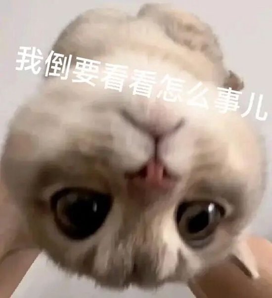 负债榜 | 8家湘股濒临资不抵债，威领股份偿债风险高企