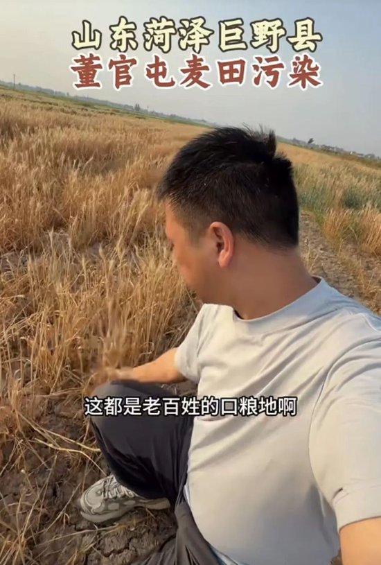 山东菏泽曝大量农田遭污染，官方回应：已成立“专班”介入调查