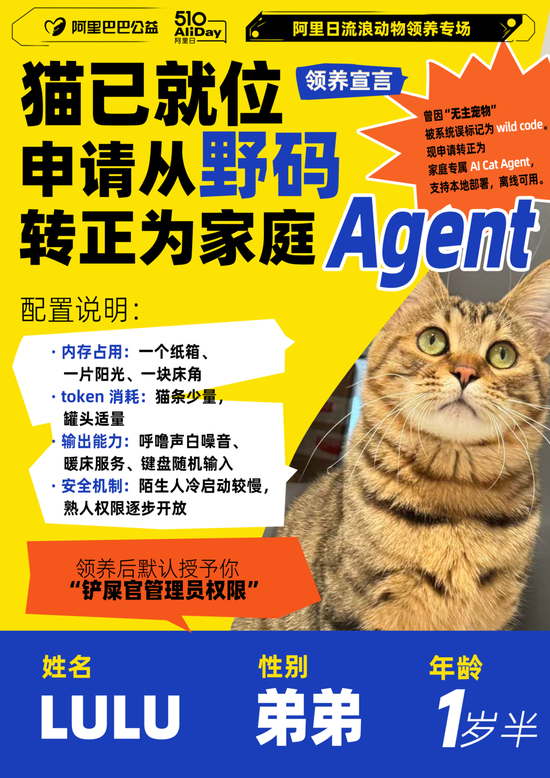 阿里终于看到回头钱了